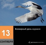 13         - 2020        腻