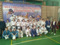 XIV открытый фестиваль спортивных единоборств Гатчинского муниципального района