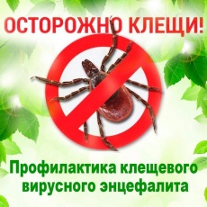 ������������ ��������� ���������� 