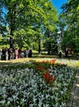 День памяти и скорби