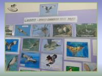 ������́ � �����-������ 2018 �����     �������� �������� ���������� � ������ ������� ������ ���� 