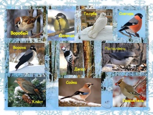 15 ������    � ���� �������� ���� ������  