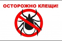 Профилактика клещевого энцефалита 