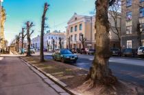 � ������� ������� ������ ������������� � ���� ������������