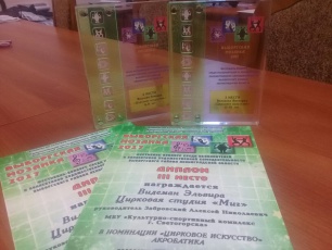подведение итогов и награждение победителей фестиваля-конкурса "Выборгская мозаика"