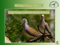 ������������ ������� �  �����-������ 2019 ����