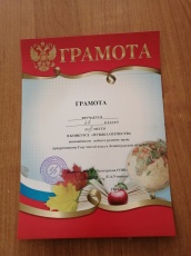 � ���� "����������� ���" ������ �����������, ����������� �������������� ��������� - ��� ��������� ��������� :