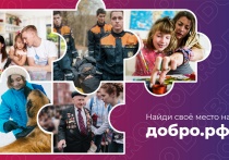 О возможностях использования потенциала платформы ДОБРО.РФ.