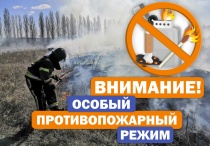 Установлен особый противопожарный режим на территории Ленинградской области