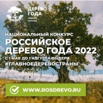 Выбираем Российское дерево года - 2022!