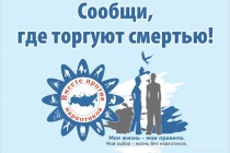 Всероссийская антинаркотическая акция "Сообщи, где торгуют смертью"