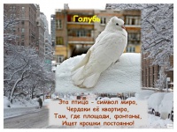 ��������� ���� �����!   ������������� ��� � ������� ����������. 