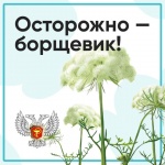 ������������ �� ������ � ���������� �����������  � ������ ��������� ����������