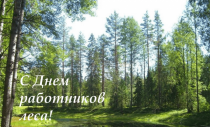 C Днем работников лесного хозяйства, деревообрабатывающей и целлюлозно-бумажной промышленности!