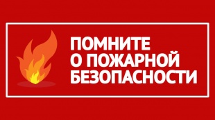�� ���������� �������������� ����������� ������ 4 ����� �������� ���������