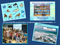 �������� ���������� ������� ���������������