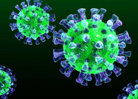 Подробно: как пройти обследование на коронавирус жителю Выборгского района