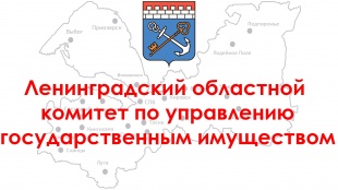 ���������  � �������� ���������  � ������������� ������������� ������������� ������� �� 08.11.2021 � 706 ��� ����������� ����������� ����������� ����������� ��������� �������� ������������ (�� ����������� ��������� ��������), ������������� �� ������. ��