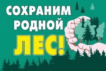 Природоохранная прокуратура разъясняет как ЗАКОННО и БЕСПЛАТНО приобрести главный символ Нового года.