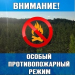 Об особом противопожарном режиме, установленном в Ленинградской области