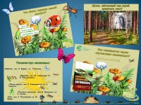 �� ������ ������������