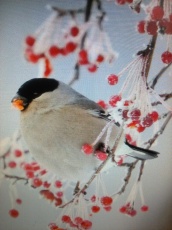 "��� �������� ���� ��������� �� ������"