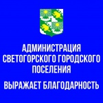 Благодарность за помощь в подготовке и проведении торжественных и праздничных мероприятий, посвященных 80-летию Победы в Великой Отечественной войне