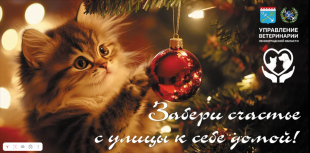 ���������� ����������� ����������