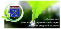 Справка о состоянии окружающей среды в Ленинградской области за 9 месяцев 2024 года
