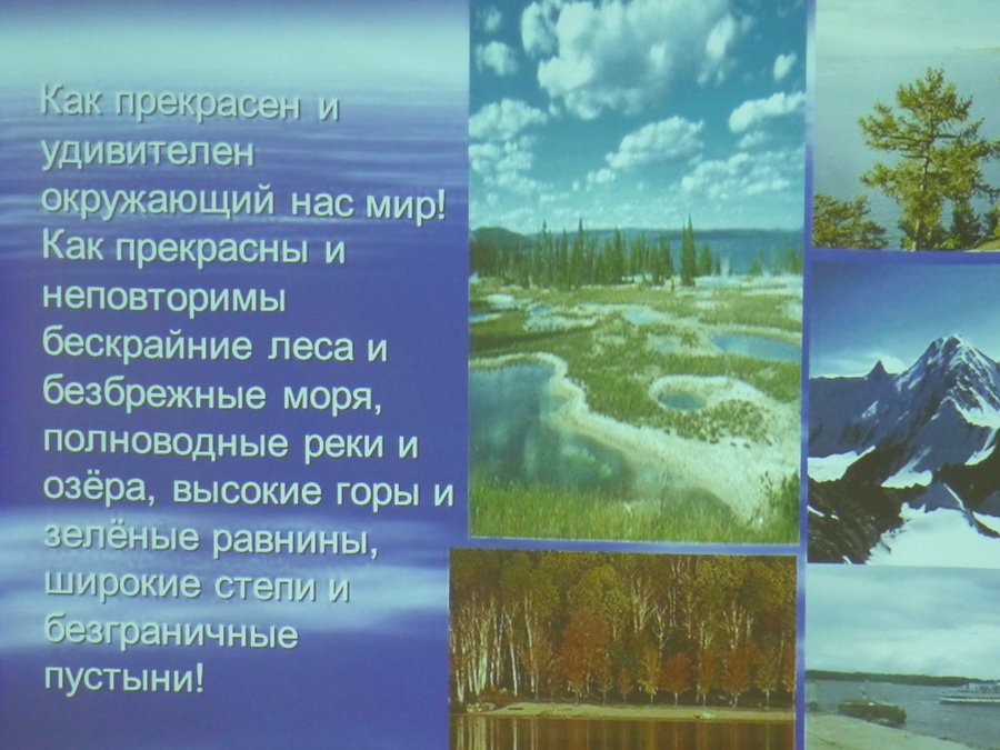 P1170527.jpg