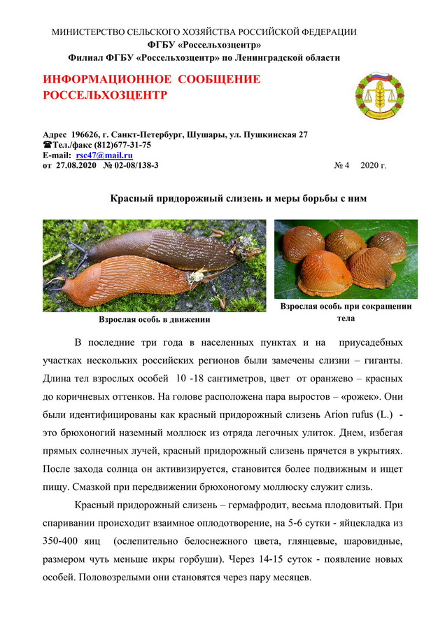 ���������������.� ������� ����������� ������ 1.jpg